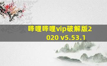 哔哩哔哩vip破解版2020 v5.53.1